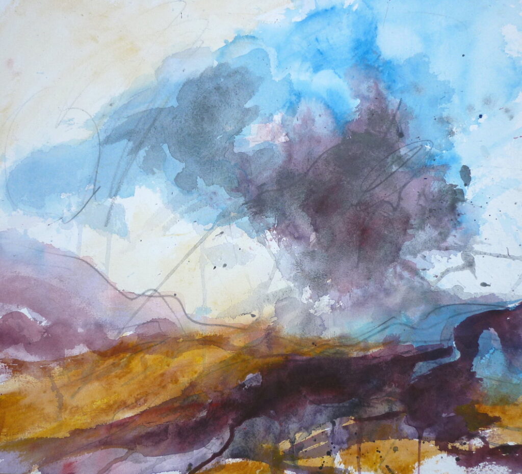 LIZ SALTER